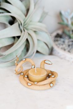 a candle sits on a table next to some succulents