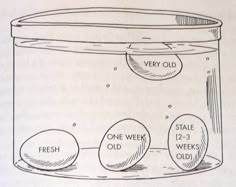 an image of a drawing of eggs in a jar with labels on them that read very old, one week, 2 - 3 weeks, and fresh