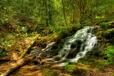 a small waterfall in the middle of a forest