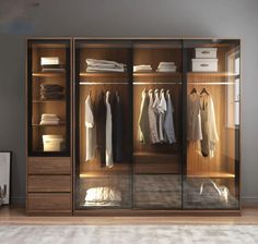 an image of a closet with clothes on the shelves and in the middle it is open