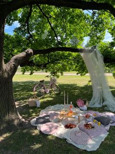 a picnic in the shade of a tree with food and drinks laid out on it