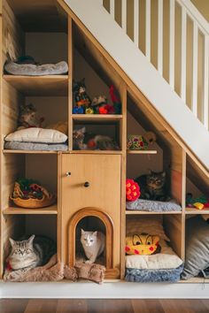 several cats are sitting on their beds under the stairs in this cat bed house that is built into the wall