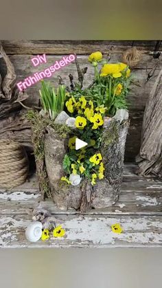 some yellow flowers are sitting in a pot