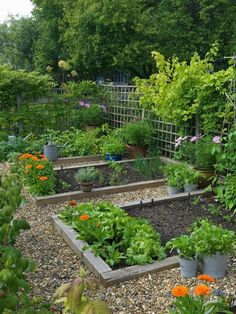 a garden filled with lots of different types of flowers and plants in pots on top of gravel