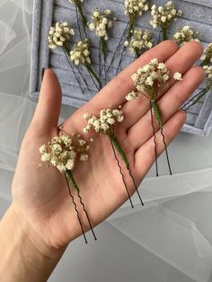 small white flowers are held in the palm of someone's hand