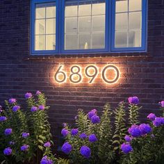 purple flowers in front of a brick building with the number 9600 on it's side