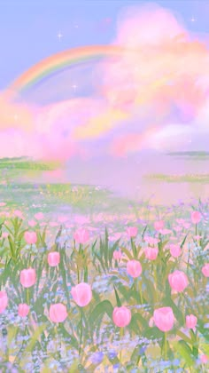 a field full of pink flowers with a rainbow in the background