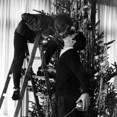 black and white photograph of two men on ladders decorating a christmas tree with tinsel