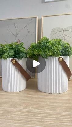 two white vases with green plants in them