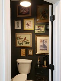 a white toilet sitting in a bathroom next to a wall with pictures on the walls