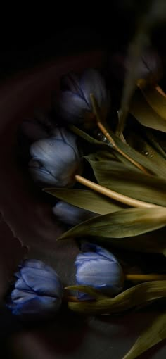 some blue flowers are sitting on a table