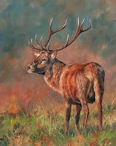 a painting of a deer standing in the grass