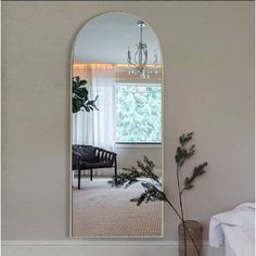 a room with a large mirror on the wall and a plant in front of it