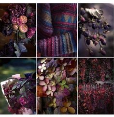 several pictures of different flowers and plants in purple, green, blue, red and black colors