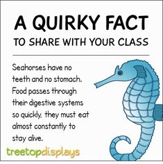 a blue seahorse with text that reads, a quirky fact to share with your class