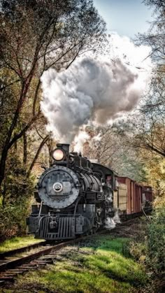 an old fashioned steam train traveling through the woods