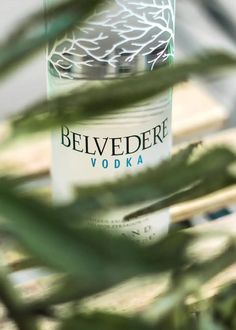 a bottle of vodka sitting on top of a wooden table next to a green plant