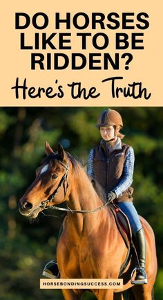 a girl riding on the back of a brown horse with text that reads, do horses like to be ridden? here's the truth