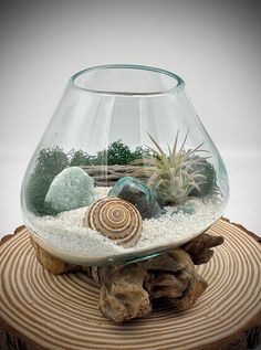 a glass bowl filled with rocks and plants