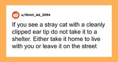 an orange and white photo with the words if you see a stray cat with a clearly clipped ear tip, not take it to a shelter