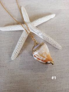 Gold Plated Shell Gold Shell Jewelry Gold Shell Necklace Gold Sea Shell Necklace Gold Shell Charm Necklace Beach Necklace Shell Jewelry Beautiful gold shell necklace made with a gold plated seashell charm with a gold filled chain. This necklace makes a unique gift for a beach lover or someone special in your life. Please choose shell necklace from drop down menu. Each item is carefully packaged in a beautiful jewellery box ready as a gift. If you would like to add a personalized note with your o Beachy Gold Shell Necklace As A Gift, Beachy Gold Shell Necklace For Gifts, Beachy Gold Shell Necklace For Gift, Beachy Gold Shell Necklace Perfect For Gifts, Gold Strand Jewelry For Gift, Gold Strand Charm Necklace As Gift, Gold Strand Charm Necklace For Gift, Coastal Style Gold Strand Jewelry, Ocean-inspired Gold Charm Necklaces For Summer