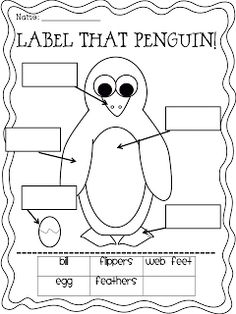 a penguin worksheet with labels on it to help students learn how to read the label