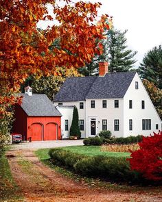 a white house surrounded by trees with red leaves on the ground and green grass in front