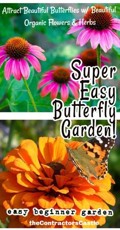 an orange and pink flower with the words super easy butterfly garden on it's side