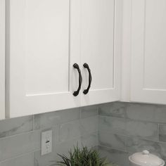 a kitchen with white cabinets and marble backsplash, potted plant on the counter