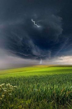 an image of a storm coming in from the sky over a field with grass and flowers