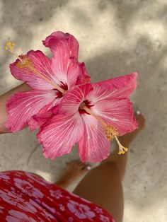 a pink flower with yellow stamens is in the foreground as a woman's legs stand behind it