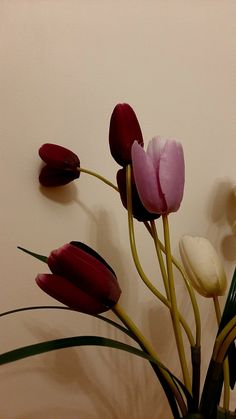 a vase filled with lots of flowers on top of a wooden table next to a wall