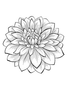 a black and white drawing of a large flower on a white background, with the center section