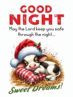 a christmas card with a baby cow laying on hay and the words, good night may the lord keep you safe through the night