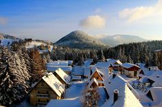 a snow covered village with mountains in the background and trees on both sides, surrounded by evergreens