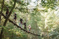 several people walking across a rope bridge in the middle of a tree - filled forest