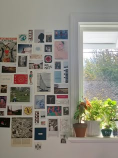 there is a wall covered with pictures and plants next to a potted plant on the window sill