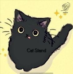 a black cat with the word cat stand on it's back paws up in the air