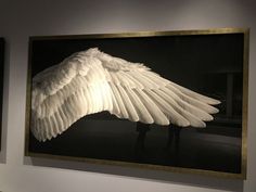 a large white angel wing hanging from the side of a wall next to a black and white photo