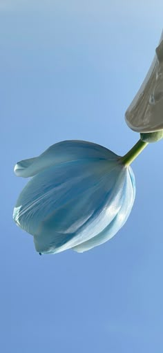 a blue flower is being blown by the wind