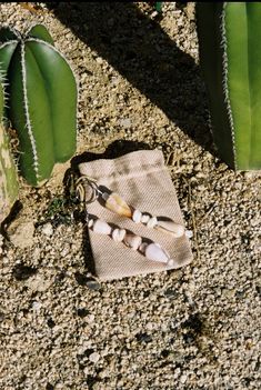 a pair of scissors sitting on top of a piece of cloth next to a plant