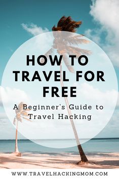 a palm tree on the beach with text overlay how to travel for free, a beginner's guide to travel hack