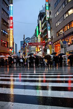 many people with umbrellas cross the street at night