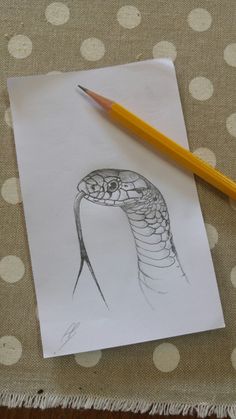 a pencil drawing of a snake on top of a piece of paper