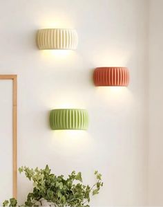 three different colored lights on the wall above a potted plant