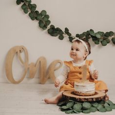 Photoshoot Set, Cake Smash First Birthday, Baby Birthday Photoshoot, Birthday Photo Shoot, First Birthday Photo, 1st Birthday Pictures, 1st Birthday Photoshoot, First Birthday Pictures, One Year Birthday