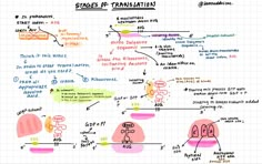 a whiteboard with some writing on it and various things written in different languages, including numbers