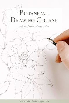 a hand holding a pen drawing a flower on a piece of paper with the title botanical drawing course