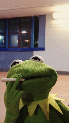 Kermit Funny, Frog Wallpaper, Simple Phone Wallpapers, Whatsapp Wallpaper, Swag Cartoon, Aesthetic Candles, Kermit The Frog, Funny Reaction Pictures, Cartoon Profile Pics