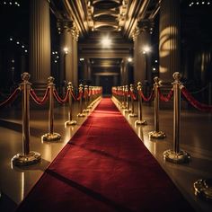 a red carpet is lined up between two gold poles